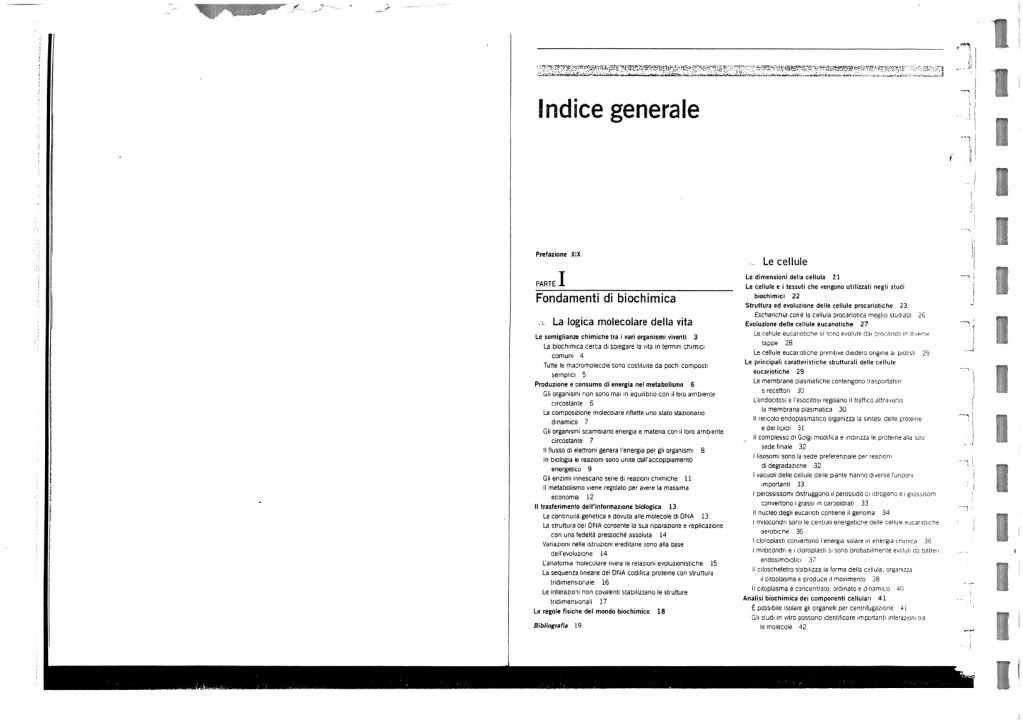 I Principi Di Biochimica Di Lehninger 7 Pdf Download Download David Lee Nelson, Albert L. Lehninger, Michael M. Cox - I